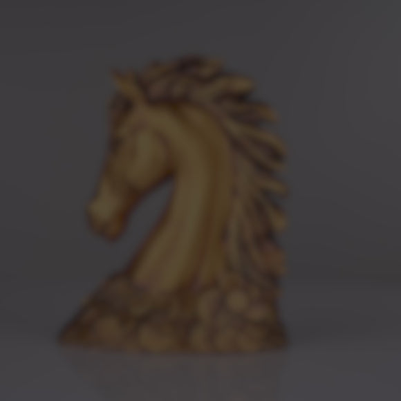 New Coin Horse Head