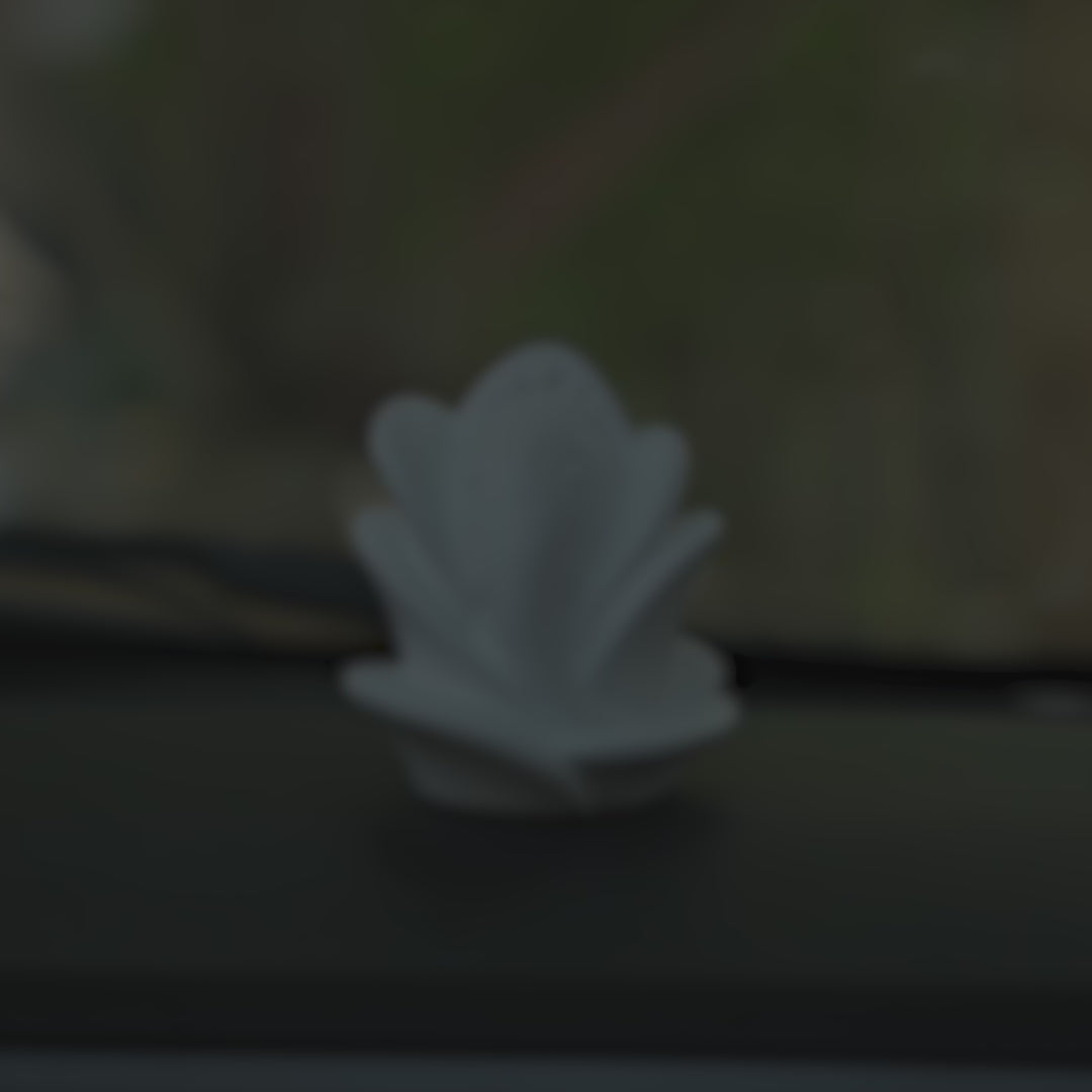 ganesh ji for car dashboard video